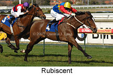 Rubiscent (14772 bytes)