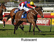 Rubiscent (14772 bytes)