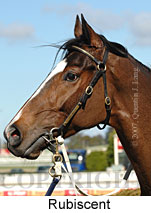 Rubiscent (14772 bytes)