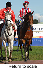 Return to scale (14008 bytes)