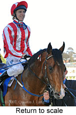 Return to scale (14008 bytes)