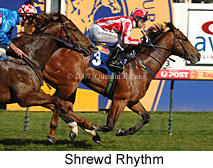 Shrewd Rhythm (14772 bytes)