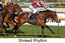 Shrewd Rhythm (14772 bytes)