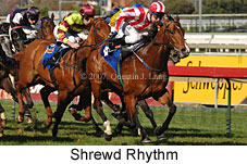 Shrewd Rhythm (14772 bytes)