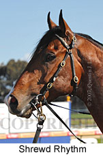 Shrewd Rhythm (14772 bytes)