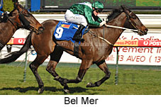 Belmer (14772 bytes)