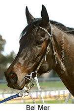 Belmer (14772 bytes)