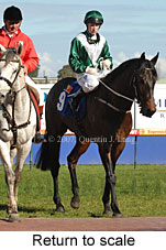 Return to scale (14008 bytes)