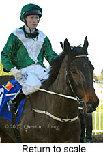 Return to scale (14008 bytes)