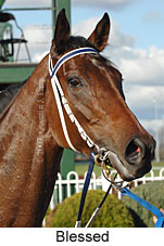 Blessed (14772 bytes)