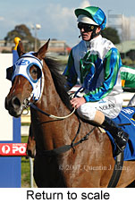 Return to scale (14008 bytes)