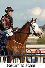 Return to scale (14008 bytes)