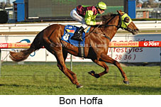 Bon Hoffa (14772 bytes)