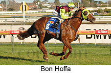 Bon Hoffa (14772 bytes)