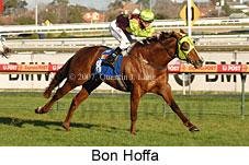 Bon Hoffa (14772 bytes)