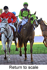 Return to scale (14008 bytes)