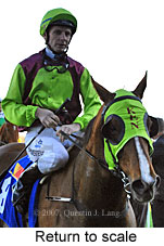 Return to scale (14008 bytes)