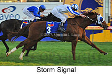 Storm Signal (14772 bytes)