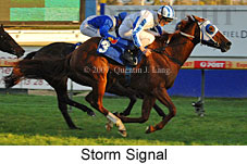 Storm Signal (14772 bytes)