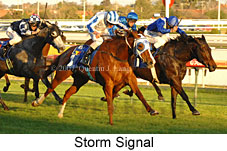 Storm Signal (14772 bytes)