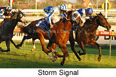 Storm Signal (14772 bytes)