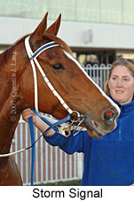 Storm Signal (14772 bytes)