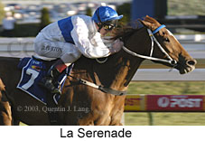 La Serenade (14075 bytes)