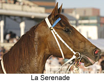 La Serenade (12750 bytes)