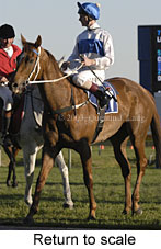 Return to scale (14658 bytes)