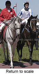 Return to scale (14366 bytes)