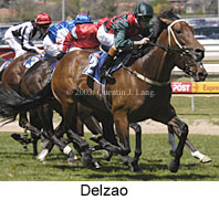 Delzao (14713 bytes)