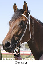 Delzao (14713 bytes)