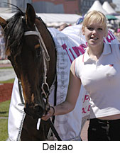 Delzao (14713 bytes)