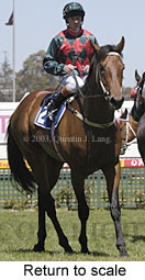 Return to scale (14366 bytes)