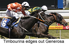 Timbourina (16439 bytes)