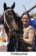 Timbourina (13853 bytes)