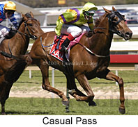 Casual Pass (17333 bytes)