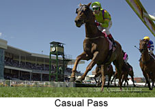 Casual Pass (13038 bytes)