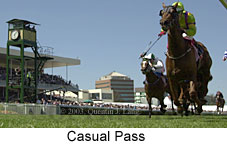 Casual Pass (11527 bytes)