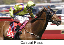 Casual Pass (15585 bytes)