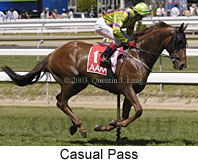 Casual Pass (14938 bytes)