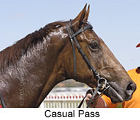 Casual Pass (11072 bytes)