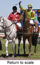 Return to scale (15278 bytes)