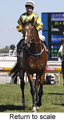 Return to scale (14131 bytes)