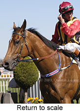 Return to scale (15676 bytes)