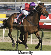 Mummify (18382 bytes)