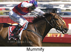 Mummify (15436 bytes)