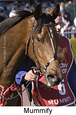 Mummify (15381 bytes)