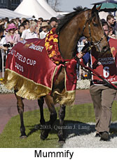 Mummify (17803 bytes)