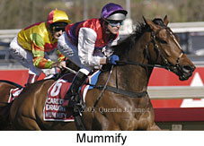 Mummify (15766 bytes)